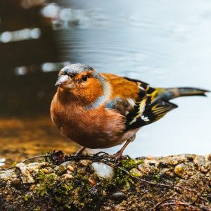 Environmental Portrait Photography