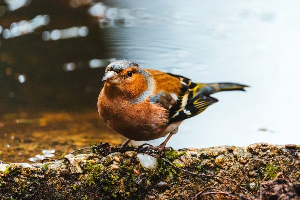 Environmental Portrait Photography